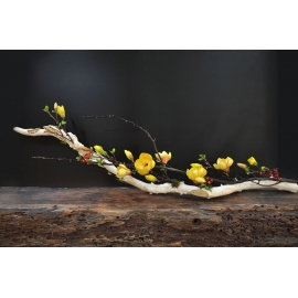 日式禪風自然白樹枝黃色洋玉蘭 造型花藝 ( y14898 花藝設計 水平花藝設計 )